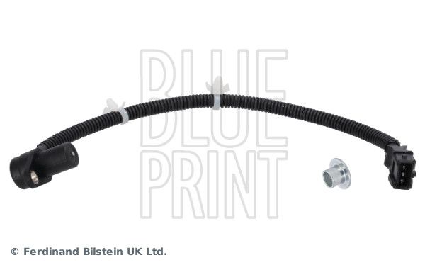 Blue Print Crankshaft Position Sensor