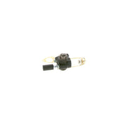 Bosch Fuel Pump Assembly 0 440 017 996