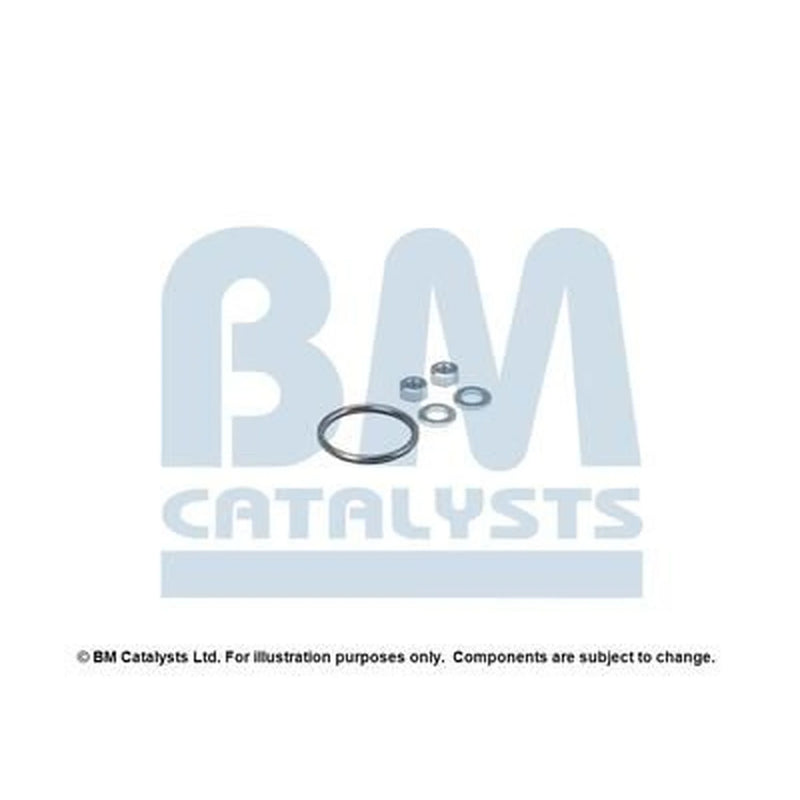 BM Catalysts Fitting Kit FK80194B FK80194B