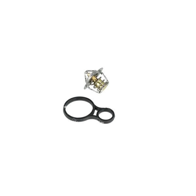 NRF Thermostat,Coolant 725094