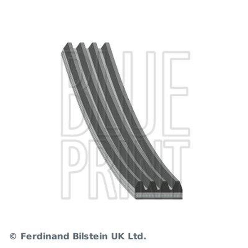 Blue Print Multi V-Ribbed Drive Belt AD04R830