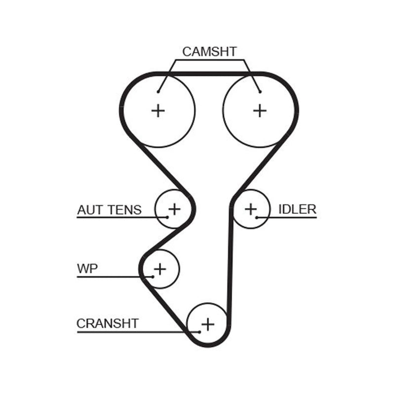 Gates Timing Belt Cambelt 137 Teeth 5631XS