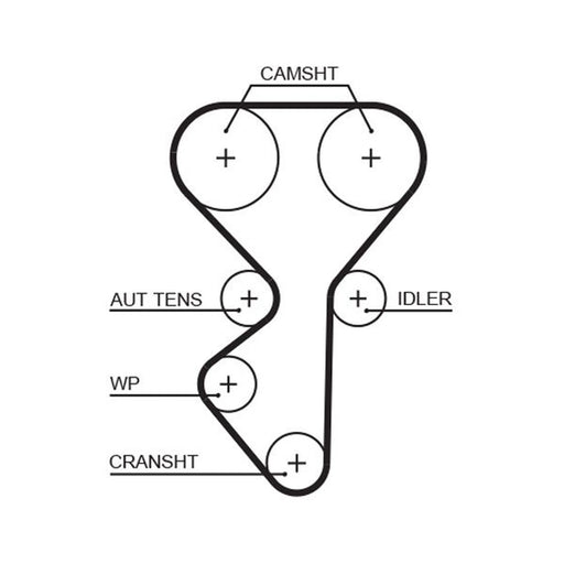 Gates Timing Belt Cambelt 137 Teeth 5631XS