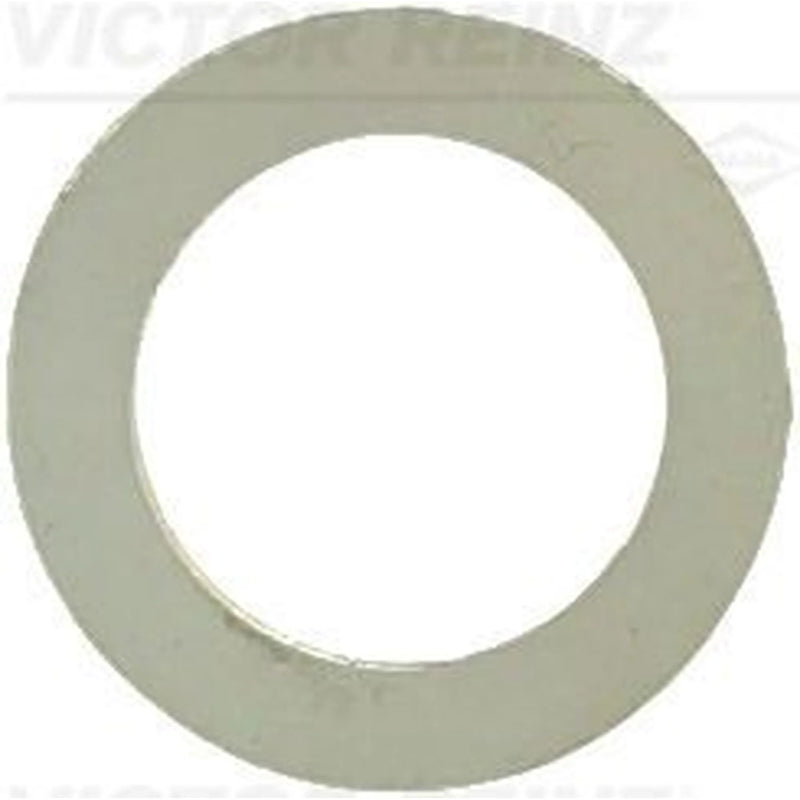 Victor Reinz Sealing Ring Gasket 40-77051-10