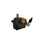 NAPA Power Steering Hydraulic Pump NPS1825