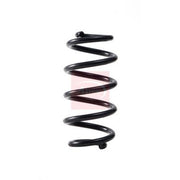 Apec Front & Rear Suspension Springs ACS2359