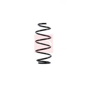 Apec Front Suspension Coil Spring ACS1664