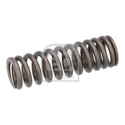 Febi Engine Valve Spring 187738