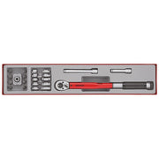 Teng Tools Torque Wrench Set 22 Pieces 20-110 Nm TTX4