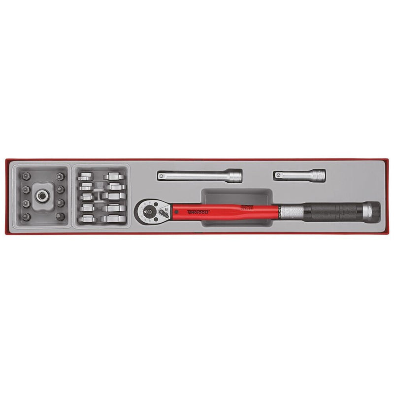 Teng Tools Torque Wrench Set 22 Pieces 20-110 Nm TTX4