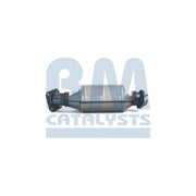 BM Catalysts Homologated Petrol Cat BM91095H