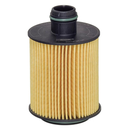 Hengst Engine Oil Filter E124H02 D202