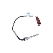 NRF Exhaust Gas Temperature Sensor before soot particulate 707195