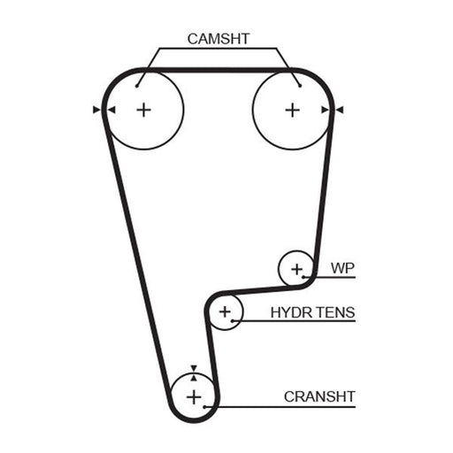 Gates Timing Belt Cambelt 155 Teeth T226