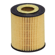 Hengst Engine Oil Filter E20H01 D293