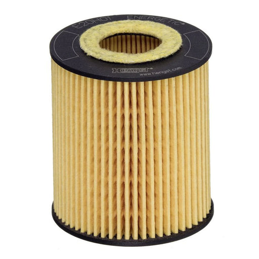 Hengst Engine Oil Filter E20H01 D293