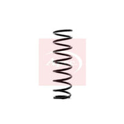 Apec Rear Suspension Coil Spring ACS1356