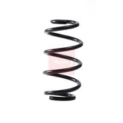 Apec Suspension Springs ACS2264