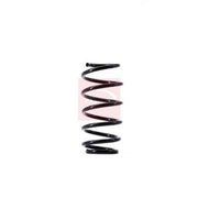 Apec Front Suspension Coil Spring ACS1540