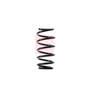 Apec Front Suspension Coil Spring ACS1540