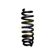 NAPA Rear Suspension Coil Spring NCS1717