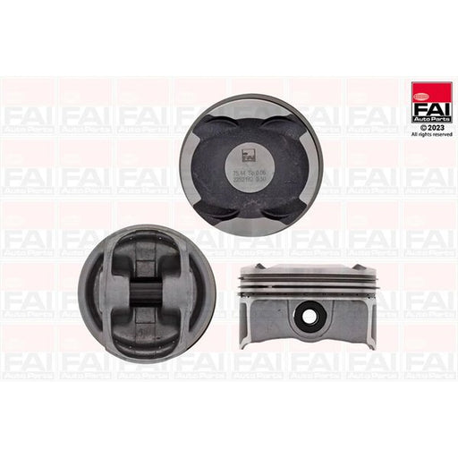 FAI Piston Cylinder Bore = PK253-050