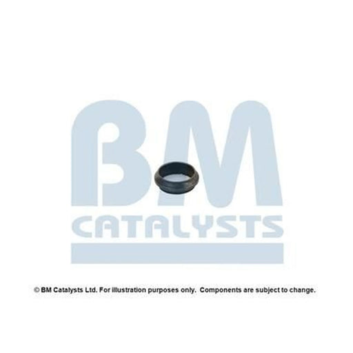 BM Catalysts Fitting Kit FK90168A FK90168A