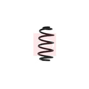 Apec Rear Suspension Coil Spring ACS1612