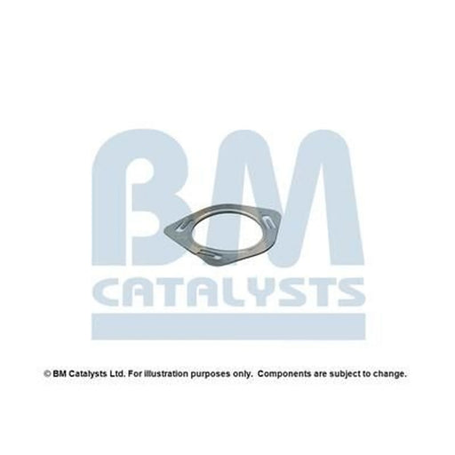 BM Catalysts Fitting Kit FK91488A FK91488A