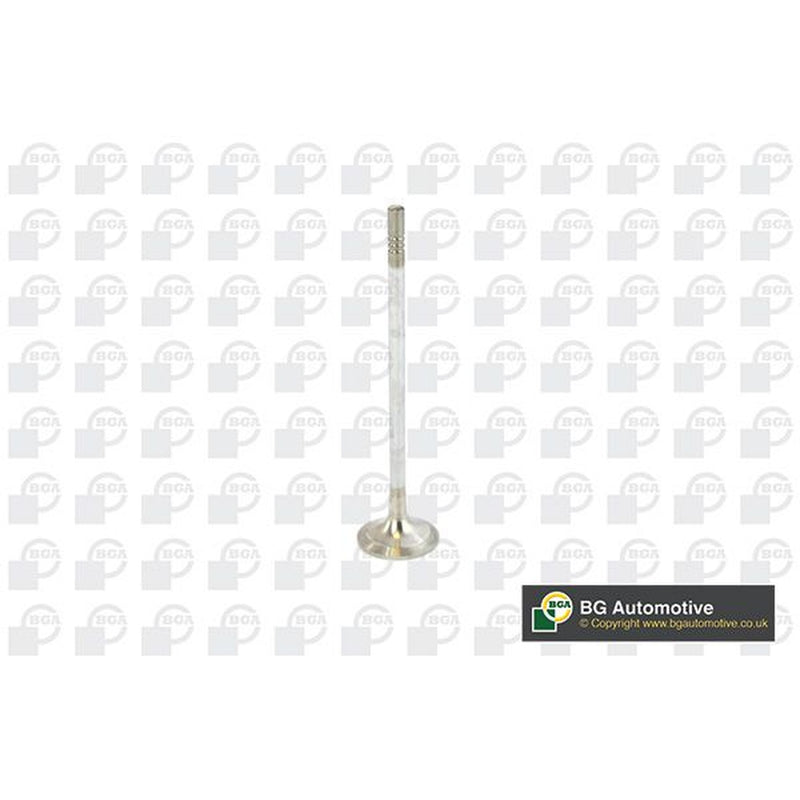 BGA Engine Exhaust Valve 25mm Head V016840