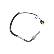NRF Exhaust Gas Temperature Sensor before soot partic 707064