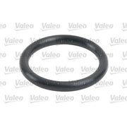 Valeo Fuel Filter Element 587732