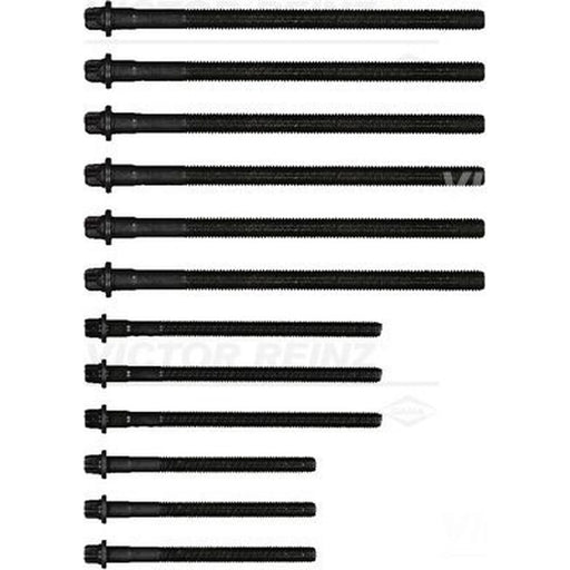 Victor Reinz Cylinder Head Bolt Set 14-32314-01