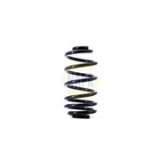 NAPA Rear Suspension Coil Spring NCS1418