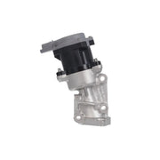 Valeo Exhaust Gas Recirculation Valve 700411