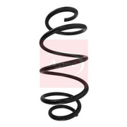 Apec Front Suspension Coil Spring ACS1583