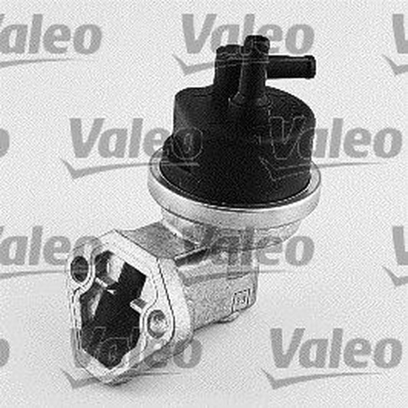 Valeo Fuel Pump Assembly 247109