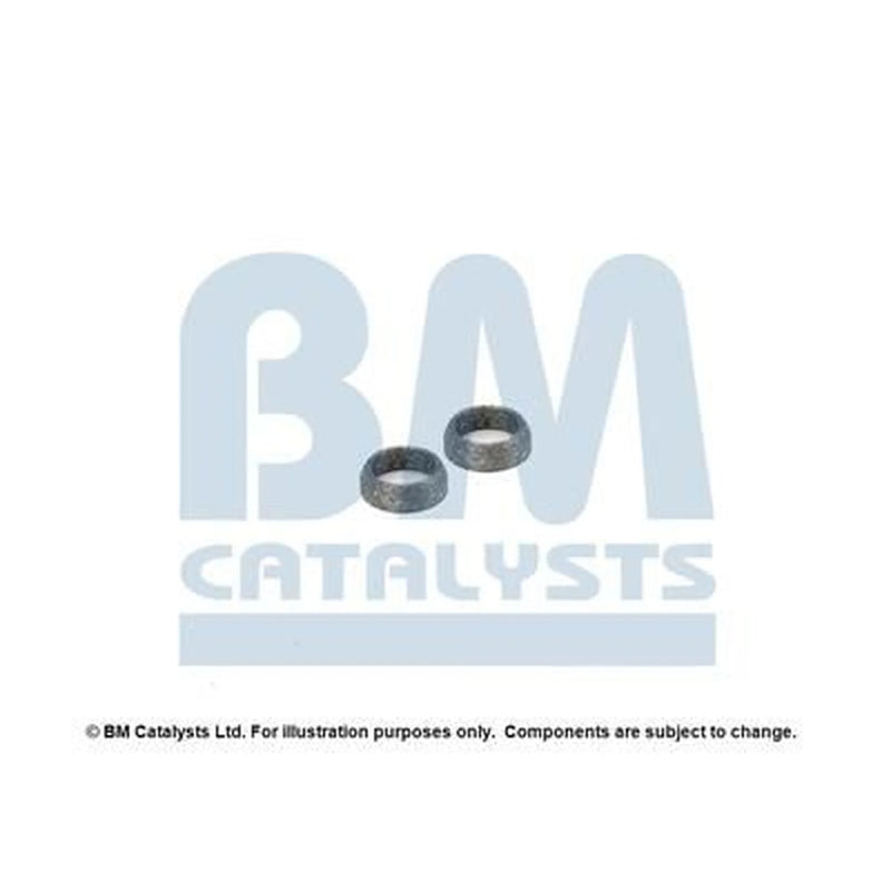BM Catalysts Exhaust Pipe Mounting Kit FK50573A