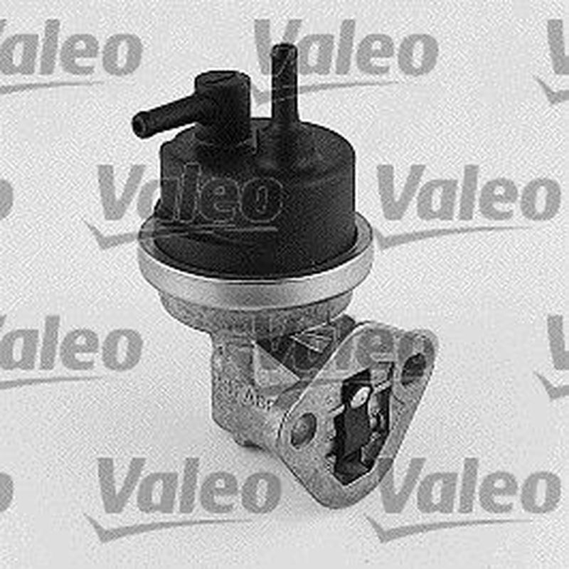 Valeo Fuel Pump Assembly 247084