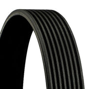 Continental CTAM Multi V-Ribbed Drive Belt 8PK1220 OE 1702604 1393344 1389066