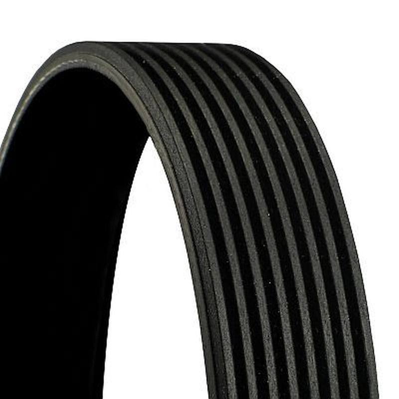Continental CTAM Multi V-Ribbed Drive Belt 8PK1220 OE 1702604 1393344 1389066