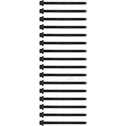 Victor Reinz Cylinder Head Bolt Set M10 14-32171-01