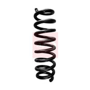 Apec Rear Suspension Coil Spring ACS1684