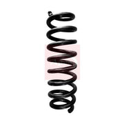 Apec Rear Suspension Coil Spring ACS1684