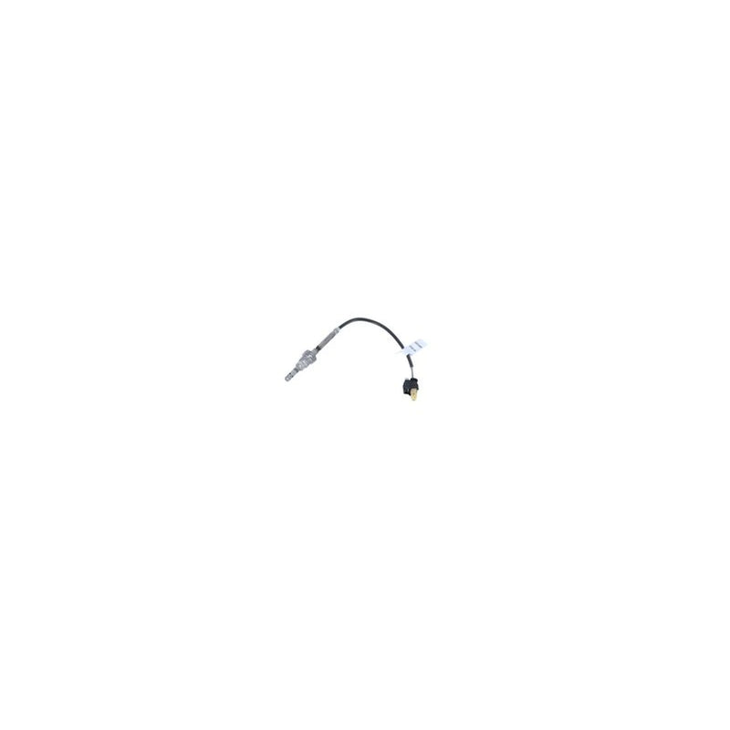 NRF Exhaust Gas Temperature Sensor before exhaust tur 707161