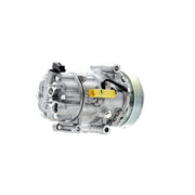 Mahle Air Conditioning Compressor ACP 1273 000S