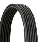 Continental CTAM Multi V-Ribbed Drive Belt 7DPK2950