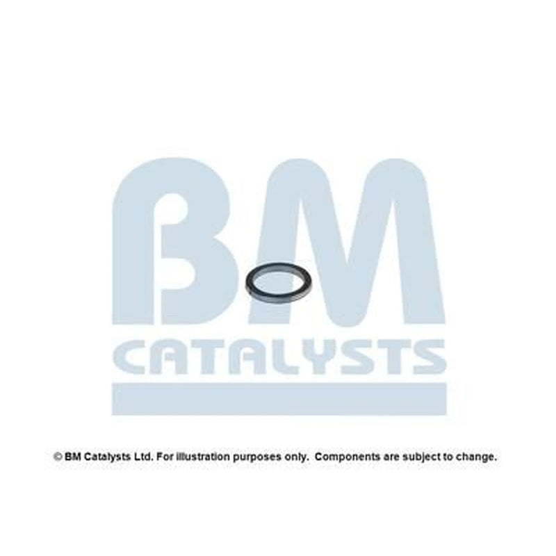 BM Catalysts Fitting Kit FK80017A FK80017A