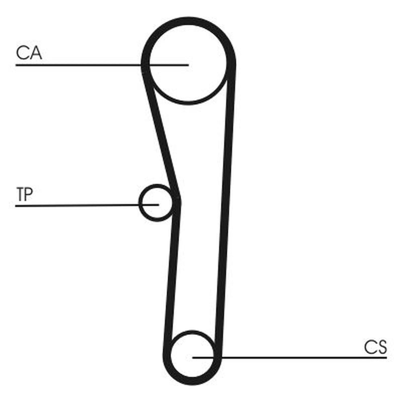 Continental CTAM Timing Belt Cambelt 109 Teeth CT1008