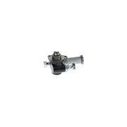 Bosch Fuel Pump Assembly H 105 220 515